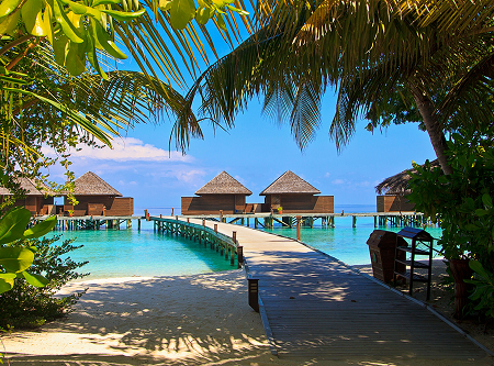Bali Honeymoon